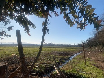 Venta / Terreno Agricola / Pelarco