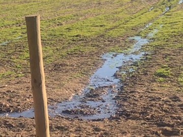 Venta / Terreno Agricola / Pelarco