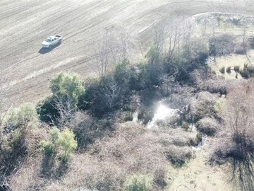 Venta / Terreno Agricola / Pemuco