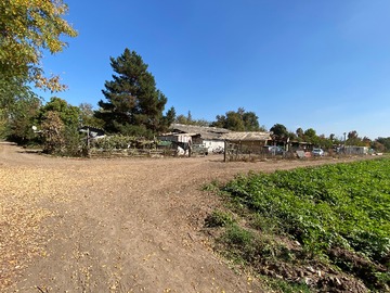 Venta / Terreno Agricola / Peñaflor