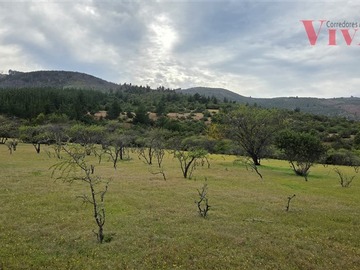 Venta / Terreno Agricola / Pencahue