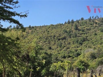 Imagen 10
