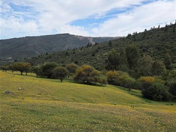 Imagen 11