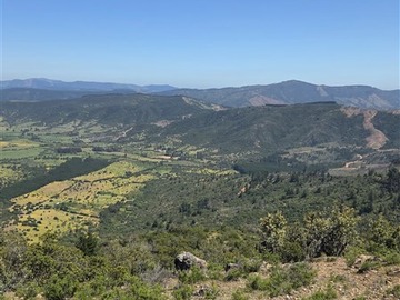 Imagen 9