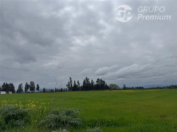 Venta / Terreno Agricola / Peralillo
