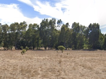 Venta / Terreno Agricola / Peralillo