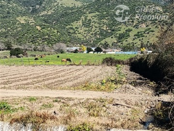 Venta / Terreno Agricola / Pichidegua
