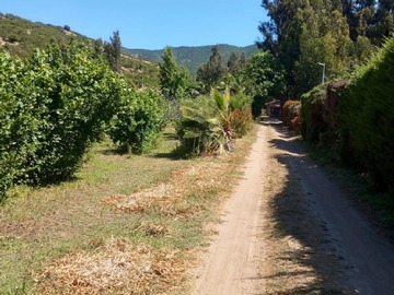 Imagen 5