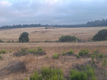 Venta / Terreno Agricola / Pichilemu