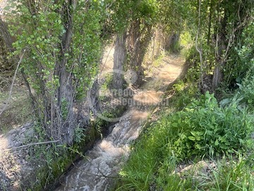 Venta / Terreno Agricola / Pirque