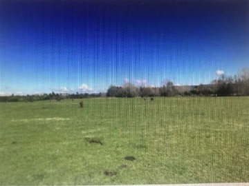 Venta / Terreno Agricola / Pitrufquén