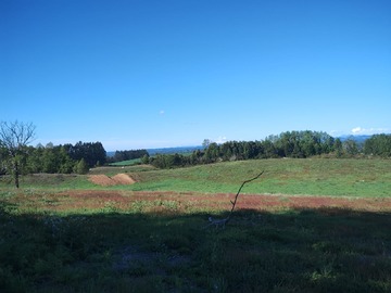 Venta / Terreno Agricola / Pitrufquén