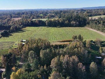 Venta / Terreno Agricola / Pitrufquén