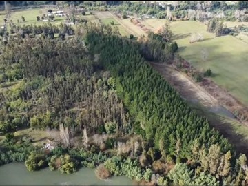 Venta / Terreno Agricola / Pitrufquén