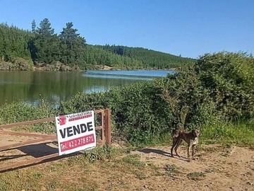 Venta / Terreno Agricola / Portezuelo