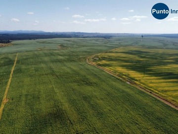 Venta / Terreno Agricola / Portezuelo