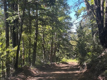 Camino interior