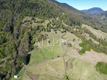 Venta / Terreno Agricola / Pucón