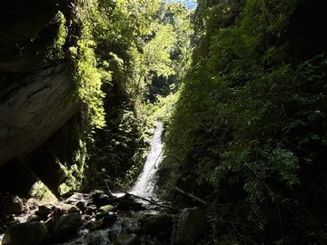 Venta / Terreno Agricola / Pucón