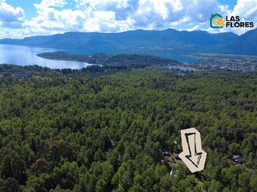 Venta / Terreno Agricola / Pucón