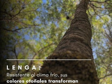 Imagen 24
