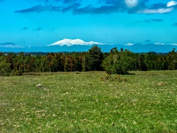 Venta / Terreno Agricola / Puerto Montt