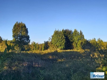 Venta / Terreno Agricola / Puerto Montt
