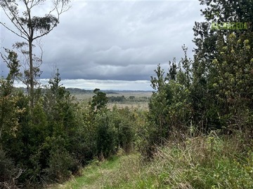 Venta / Terreno Agricola / Puerto Montt