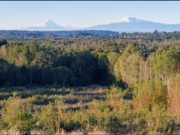 Venta / Terreno Agricola / Puerto Montt