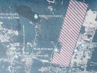 Venta / Terreno Agricola / Puerto Montt