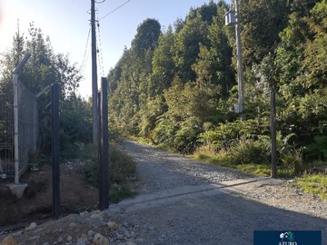 Imagen 6