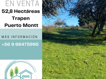 Venta / Terreno Agricola / Puerto Montt
