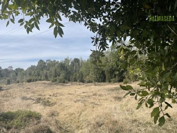 Venta / Terreno Agricola / Puerto Montt