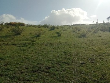 Venta / Terreno Agricola / Puerto Montt