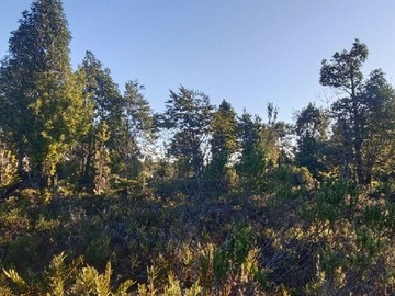 Venta / Terreno Agricola / Puerto Montt
