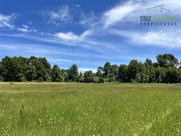 Venta / Terreno Agricola / Puerto Octay