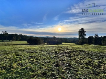 Venta / Terreno Agricola / Puerto Varas