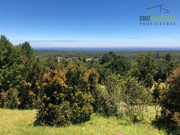 Venta / Terreno Agricola / Puerto Varas