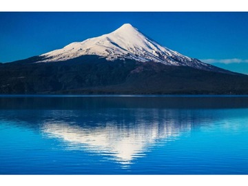 Venta / Terreno Agricola / Puerto Varas