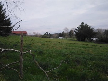 Venta / Terreno Agricola / Puerto Varas