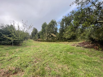 Venta / Terreno Agricola / Puerto Varas