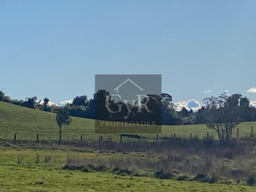 Venta / Terreno Agricola / Puerto Varas