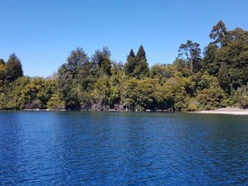 Venta / Terreno Agricola / Puerto Varas