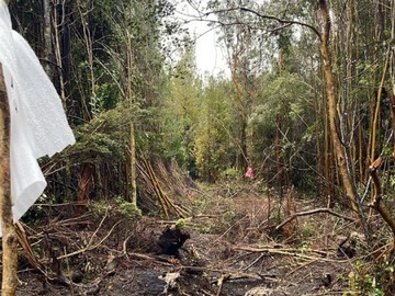 Venta / Terreno Agricola / Puerto Varas