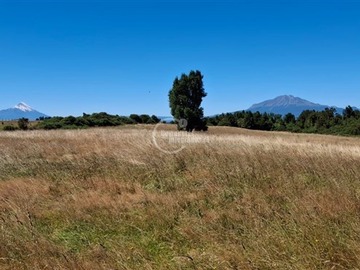 Venta / Terreno Agricola / Puerto Varas