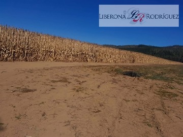 Venta / Terreno Agricola / Pumanque