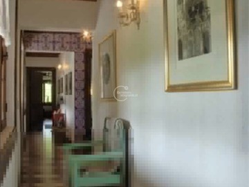 Imagen 6