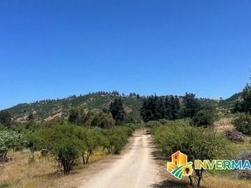 Venta / Terreno Agricola / Pumanque