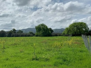 Venta / Terreno Agricola / Pumanque