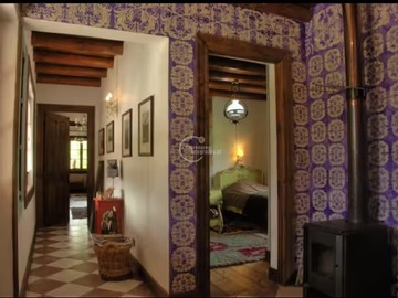 Imagen 14